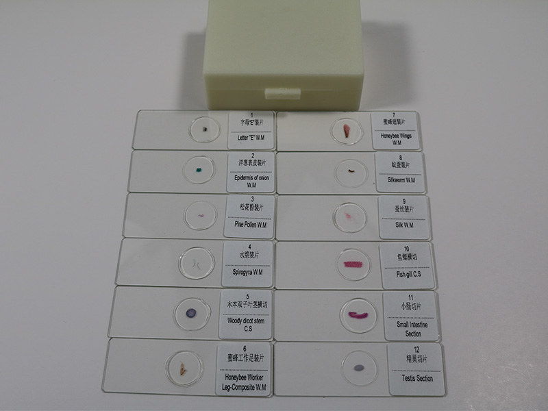 中小學生物玻片套裝-12片切片套裝